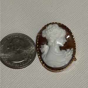 Vintage-Style Brown and White Cameo Brooch — Unbranded